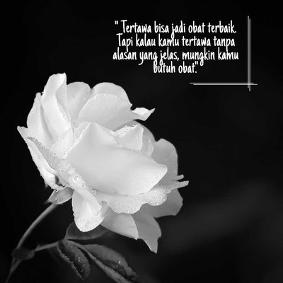 Tipografi