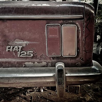 FIAT 