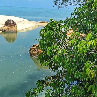 Angin Laut
