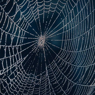 SpiderWeb