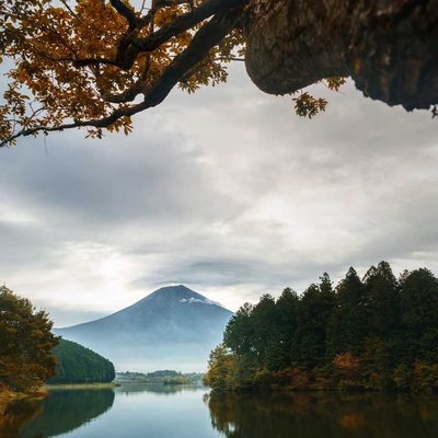 lake tanuki