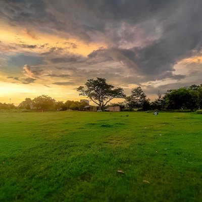 Landscape