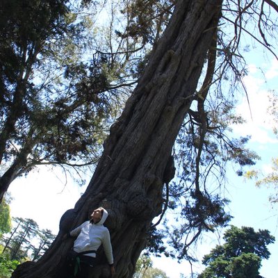 📍Parque Pereyra Iraola 