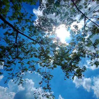 A sunny day is a happy day at RTHS.
