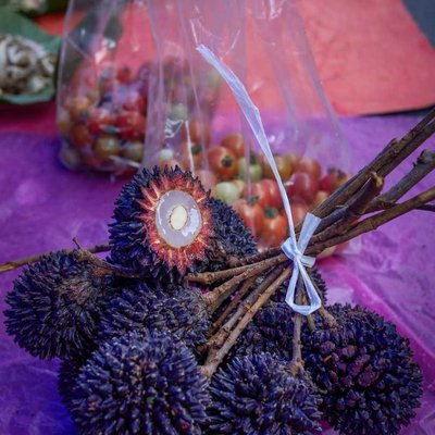 Pulasan / Ronggitom