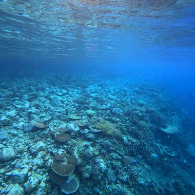 📍Hatta Island, Maluku