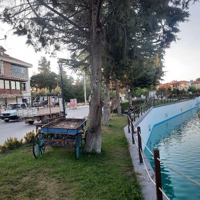 Çay boyu