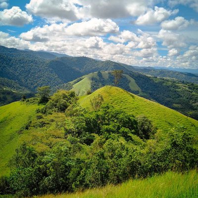 Bulumasomba