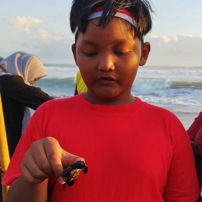 Pelepasan Tukik