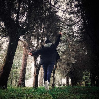 Pedacito de bosque