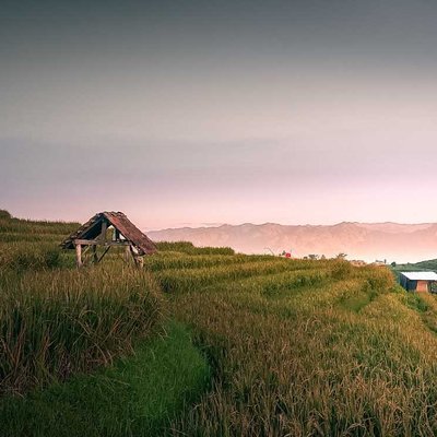 Sawah