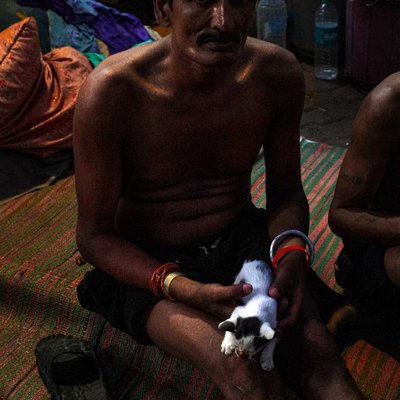 Healing the kitten 🐾