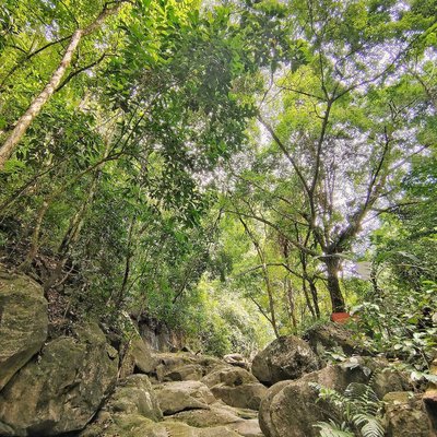 Sound Of Nature