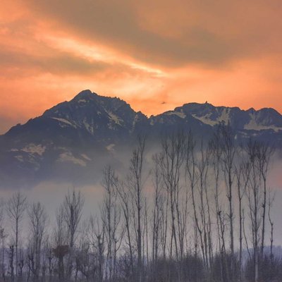 kashmir 