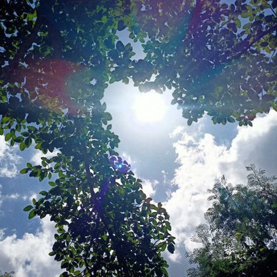 Nature 🌱