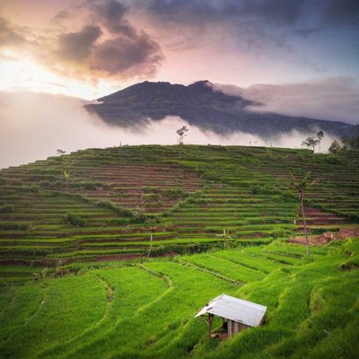 Kabut selimuti lawu.