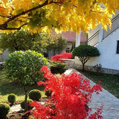 Croatia 🇭🇷  Imotski 