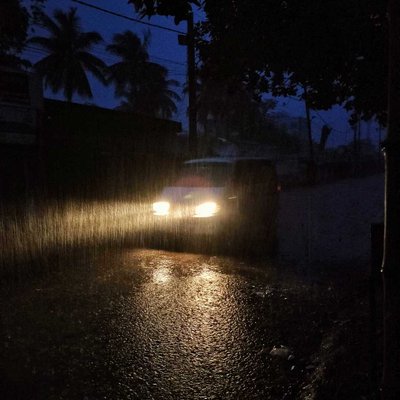 Early Rain ☔