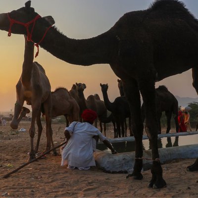 pushkar 7/9