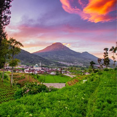 SUNRISE SINDORO