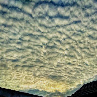 Clouds in the Morning