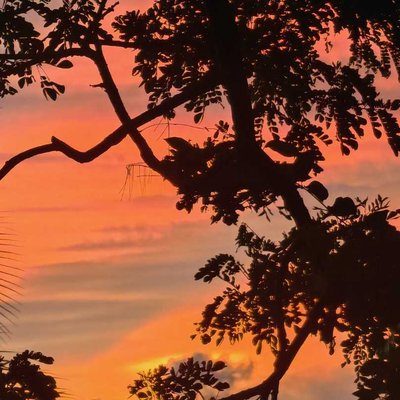 Sunrise