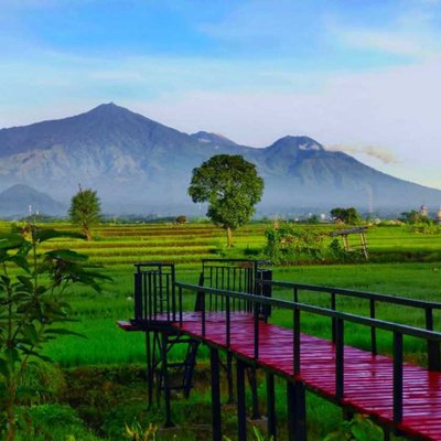 Sawah