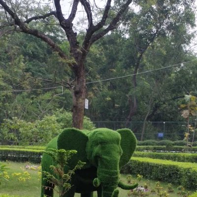 The elephant
