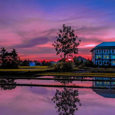 menikmati senja dipinggir sawah 