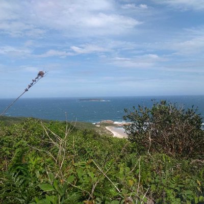 Praia da Galheta, Florianopolis 