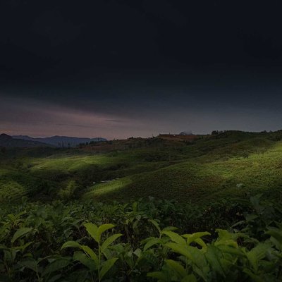 View Kebun Teh Malino