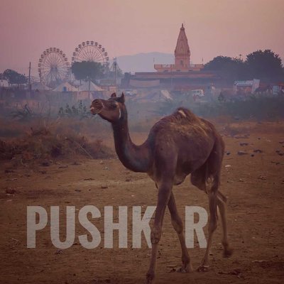 Pushkar in one frame.