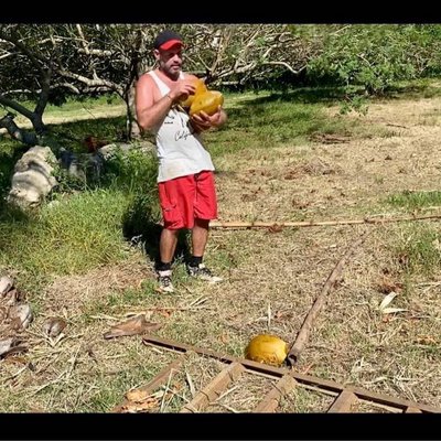 🥥😋🥥