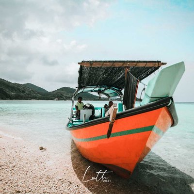 the transport