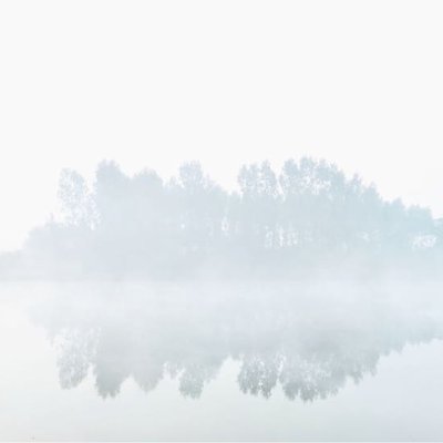 Fog Above Lake