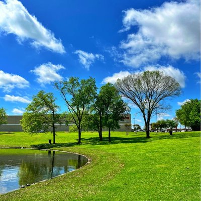 That Duck Park Lake