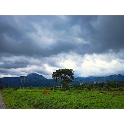 Nature Beauty