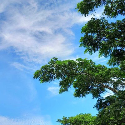 A Clear Afternoon 