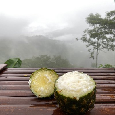 Pineapple Ice Cream