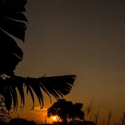 Siluetas de Atardecer ☀️