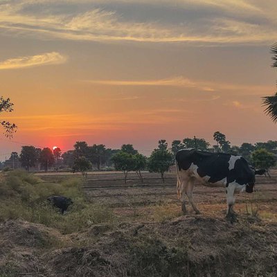 The beauty of village💚