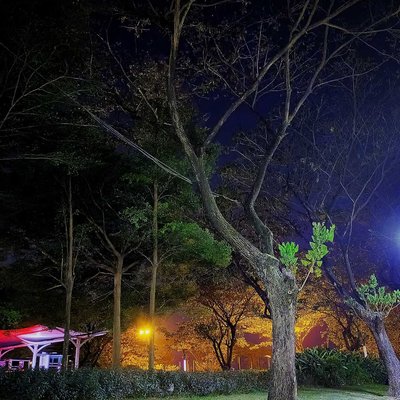 Taman Kota