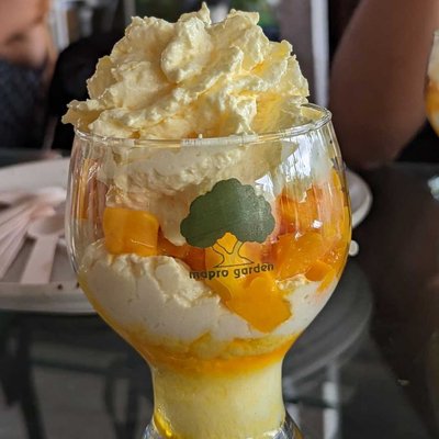 The signature Mango with cream at Mapro Lonavala