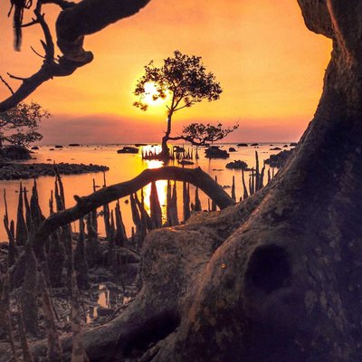 senja di pantai joko musrsodo