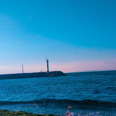 Denizi hisset🌊