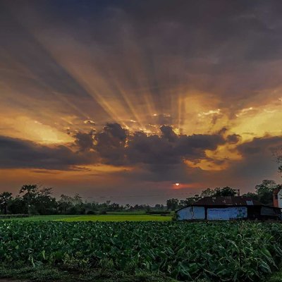 Scattering of light