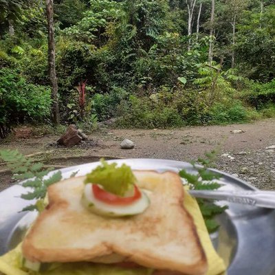 junggle food / junggle sandwich