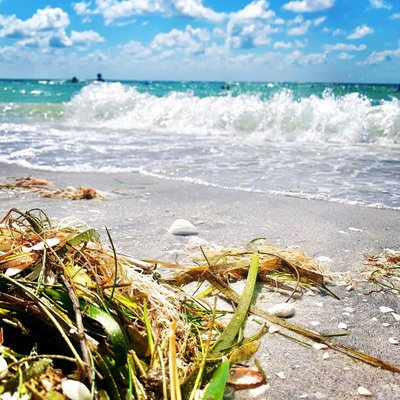 ¿A quién pertenece la isla Gasparilla?