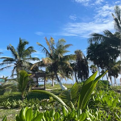 Tulum 🇲🇽