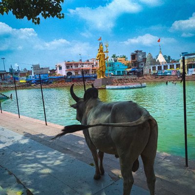 Gola Gokaran Nath